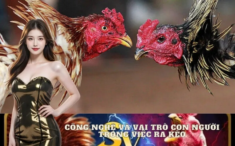 Công Nghệ và Vai Trò Con Người Trong Việc Ra Kèo