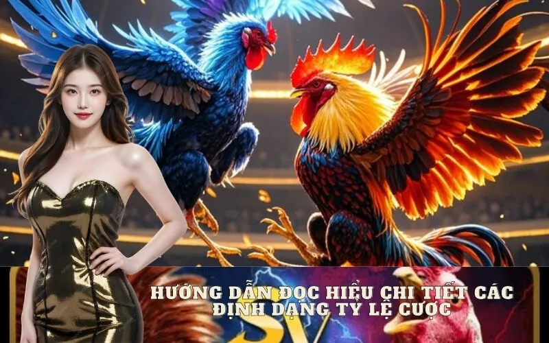 Hướng Dẫn Đọc Hiểu Chi Tiết Các Định Dạng Tỷ Lệ Cược