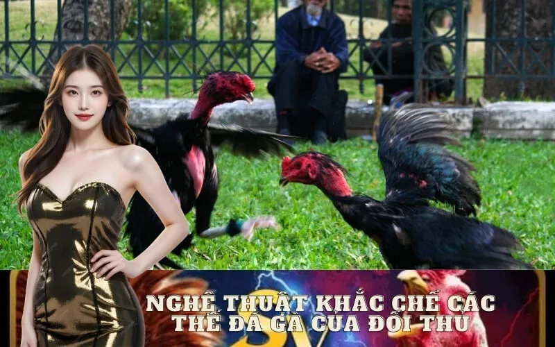 Nghệ Thuật Khắc Chế Các Thế Đá Gà Của Đối Thủ