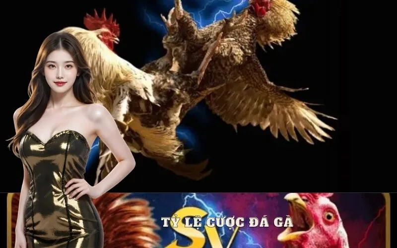 Tỷ Lệ Cược Đá Gà