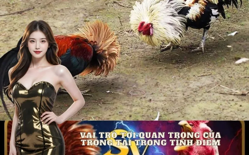 Vai Trò Tối Quan Trọng Của Trọng Tài Trong Tính Điểm