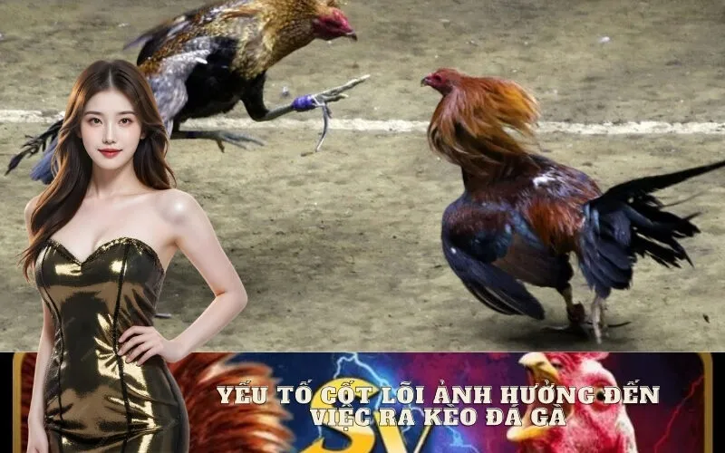 Yếu Tố Cốt Lõi Ảnh Hưởng Đến Việc Ra Kèo Đá Gà